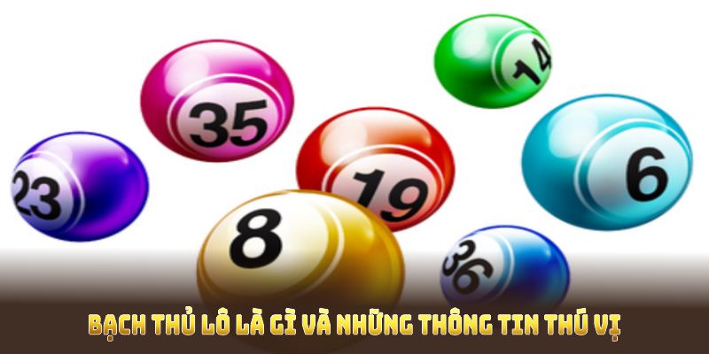 Bạch thủ lô là gì và những thông tin thú vị