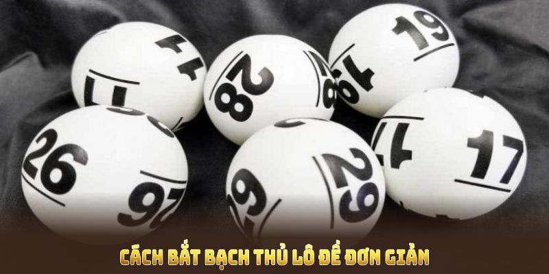 Bạch thủ lô là gì và cách bắt bạch thủ lô đề đơn giản từ 98Win