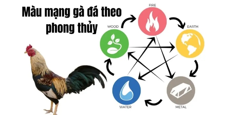 Chiến kê mệnh hỏa có phong cách chiến đấu oai cường