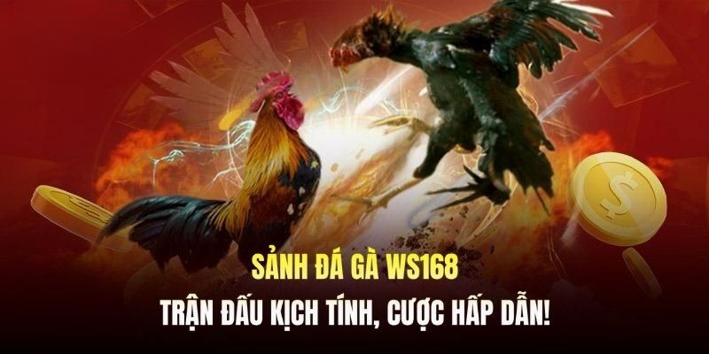 Tham gia đặt cược trở nên đơn giản với phiên bản tại 98WIN