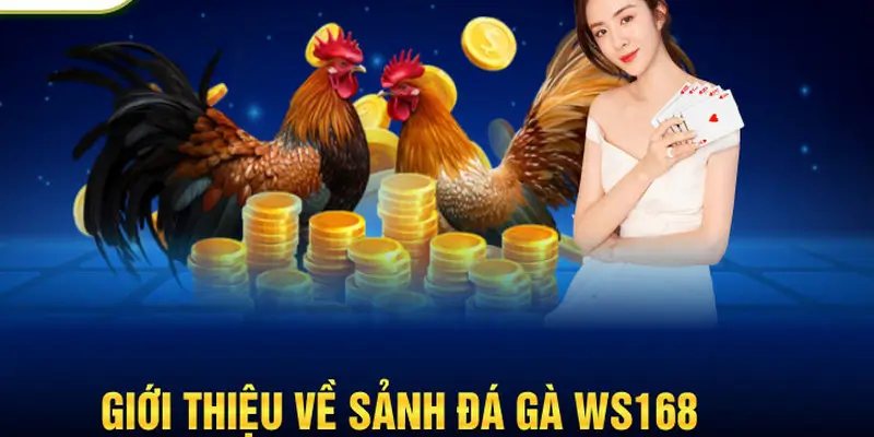 WS168 - Thương hiệu giải trí đá gà đỉnh cao hàng đầu