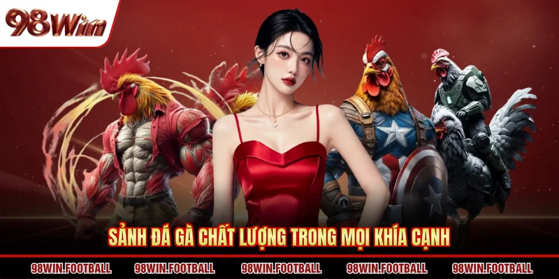 Sảnh đá gà chất lượng trong mọi khía cạnh