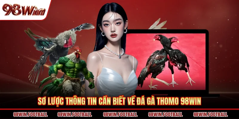 Sơ lược thông tin cần biết về đá gà Thomo 98WIN